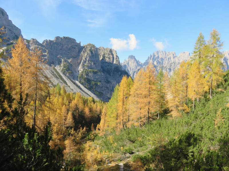 autunno in Friuli, Friuli venezia Giulia, Dolomiti friulane, Forni di Sopra, val di brica