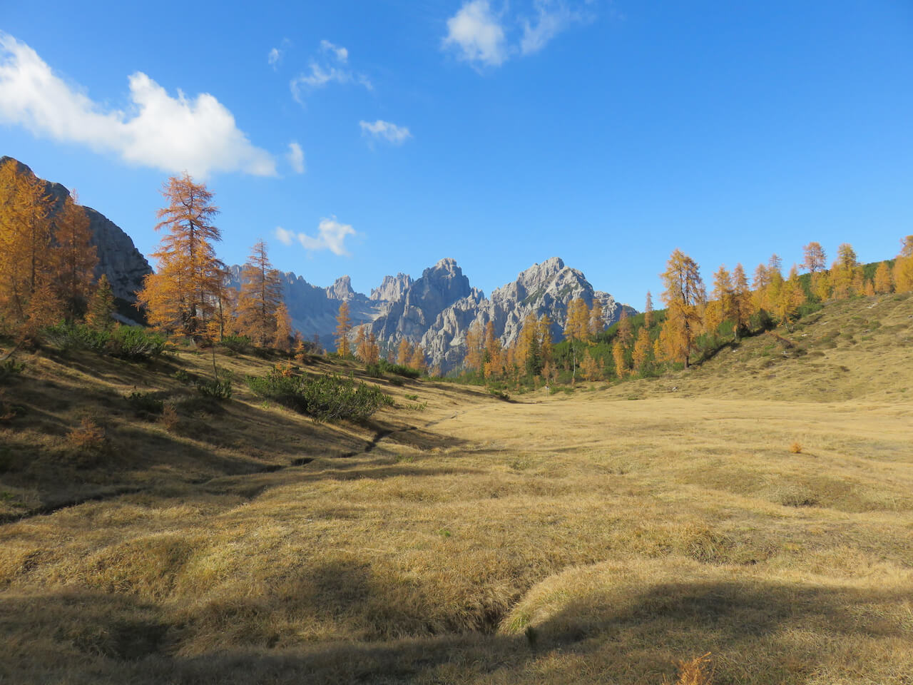 autunno in Friuli, Friuli venezia Giulia, Dolomiti friulane, Udine, camporosso