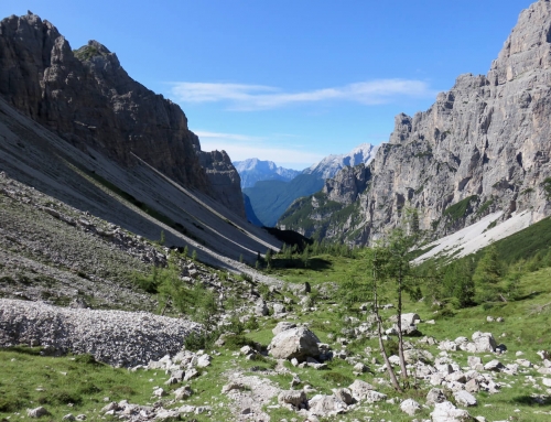 Abbiamo bisogno della Natura. E lei di noi.