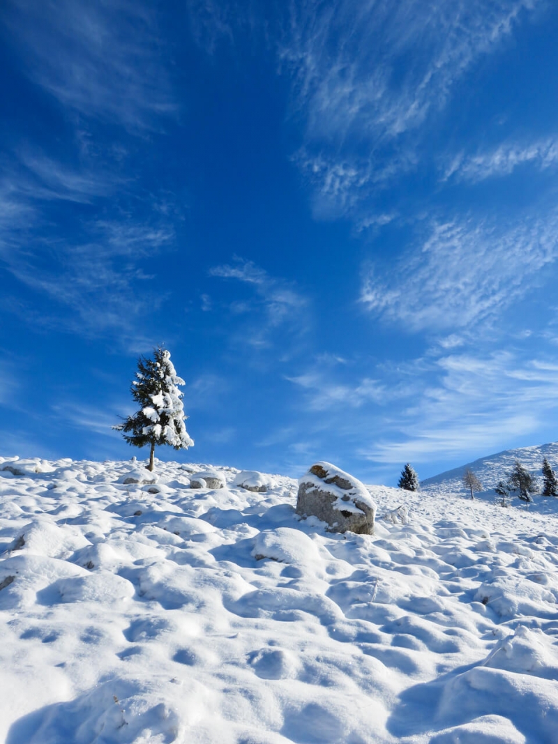  Un anello tra le Dolomiti Friulane, Luca Vivan, Piancavallo, Friuli Venezia Giulia