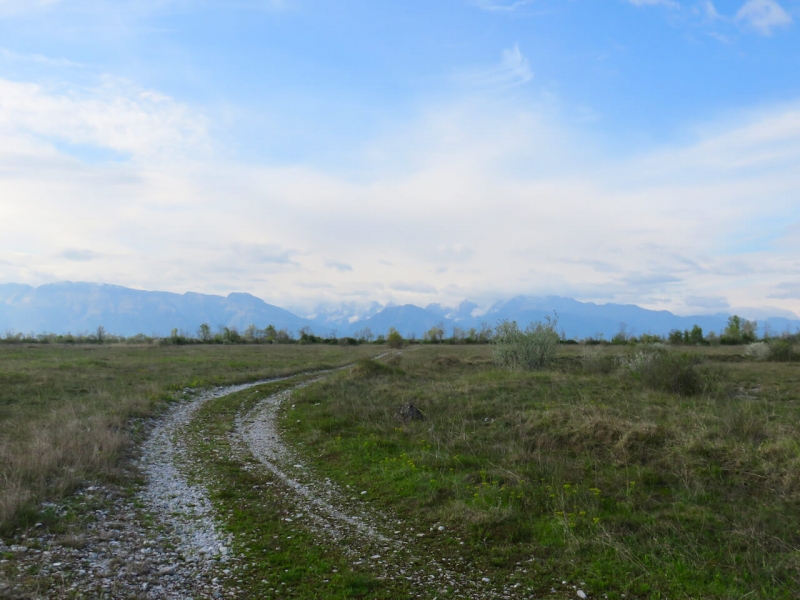 entrata nei Magredi di Cordenons, steppa con in lontananza le Prealpi Carniche