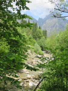 Friuli, torrente Ledron in tarda primavera, Andreis