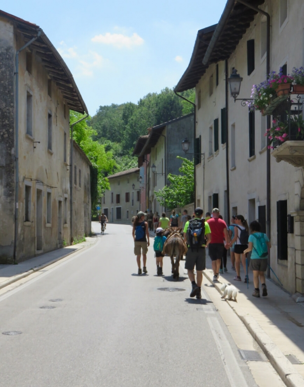  trekking con asini, compagnia degli asinelli, ciucoraduno, cammino san cristoforo, Friuli, asini in cammino a Polcenigo