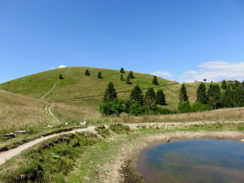 valmorel, lama a Pian de le Femene