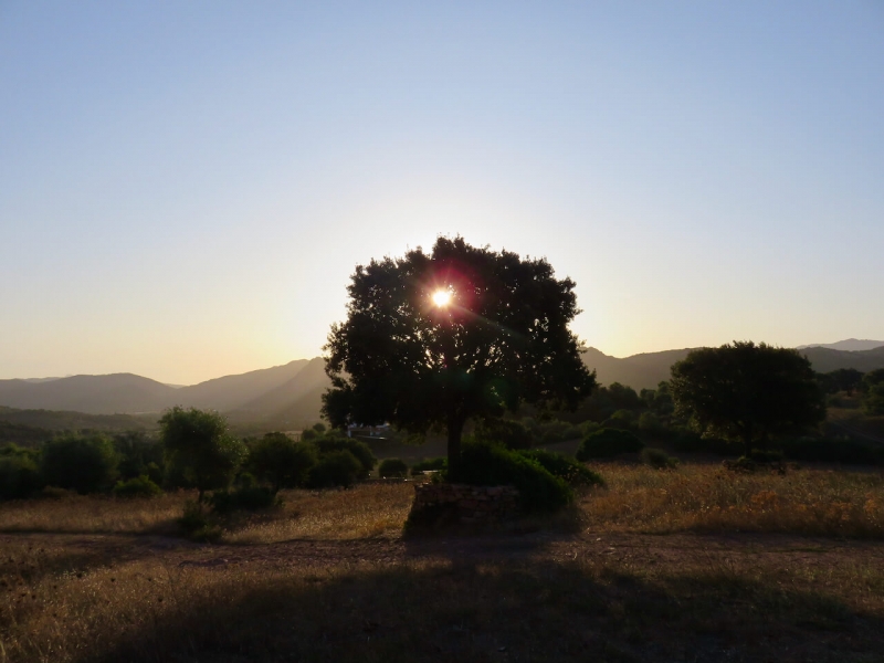 sardegna insolita, alba a monte ruiu, Azzanì