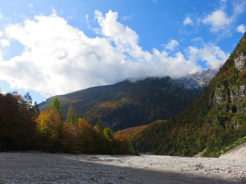  Dolomiti Friulane, nella strada della Val Cimoliana con i boschi d'autunno 