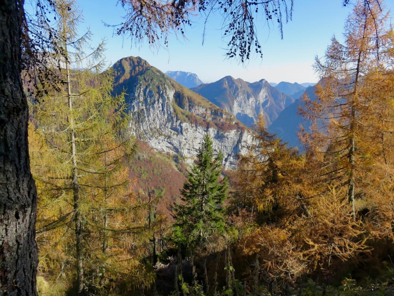  boschi d'autunno a Cava Buscada sopra Erto