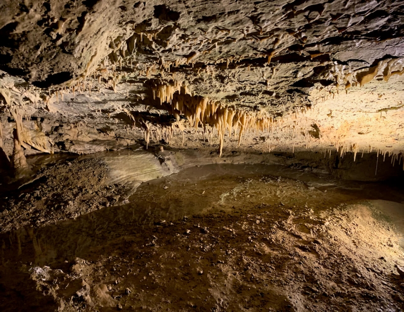  grotte di villanova, particolare illuminato