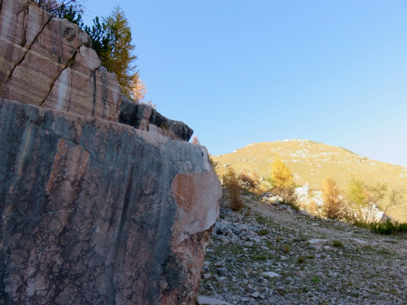  marmo rosso ammonitico a Cava Buscada sopra Erto, Dolomiti Friulane