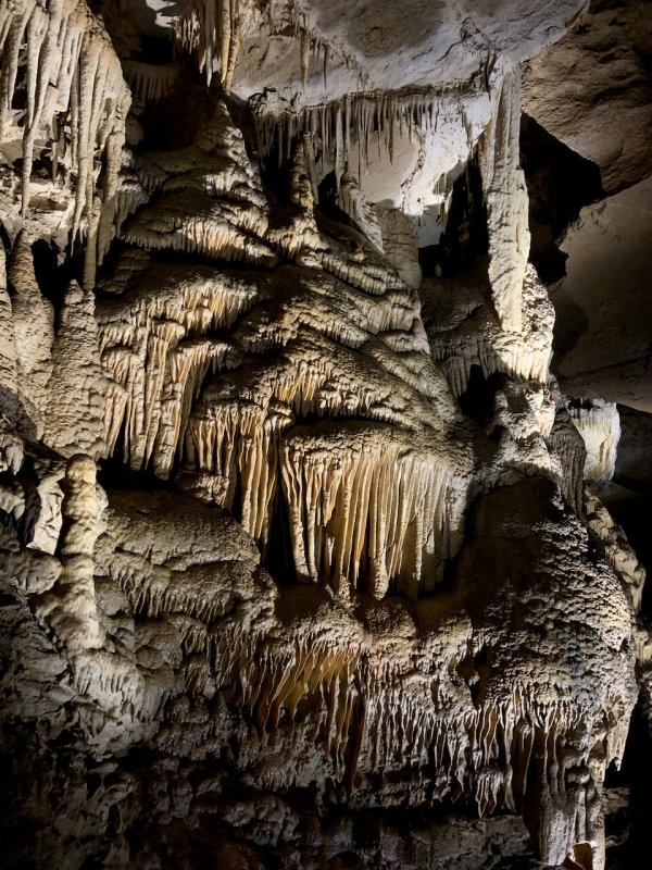  parete illuminata della grotta nuova di villanova con stalattiti
