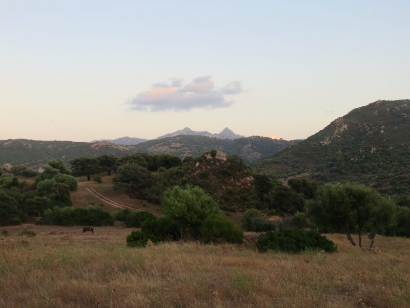 casa vacanze Golfo Aranci, Panorama entroterra Sardegna, moneruiu nature house