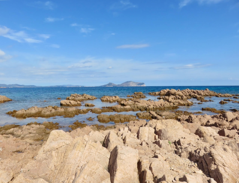  cosa vedere vicino a loiri porto san paolo, isola di tavolara, sardegna insolita