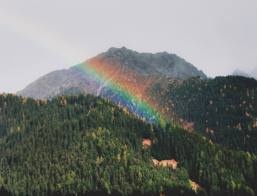 I guerrieri dell’arcobaleno. Racconti di cura