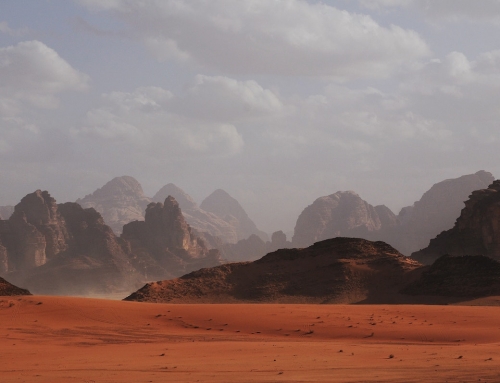 Il deserto. Racconti di cura