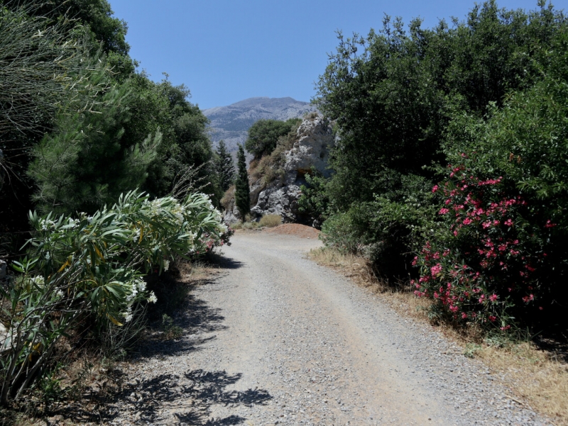  gola di santo antonio, Ano Asites