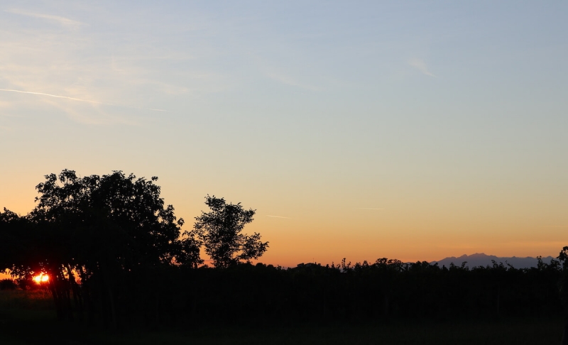  campagna friulana, Pavia di Udine