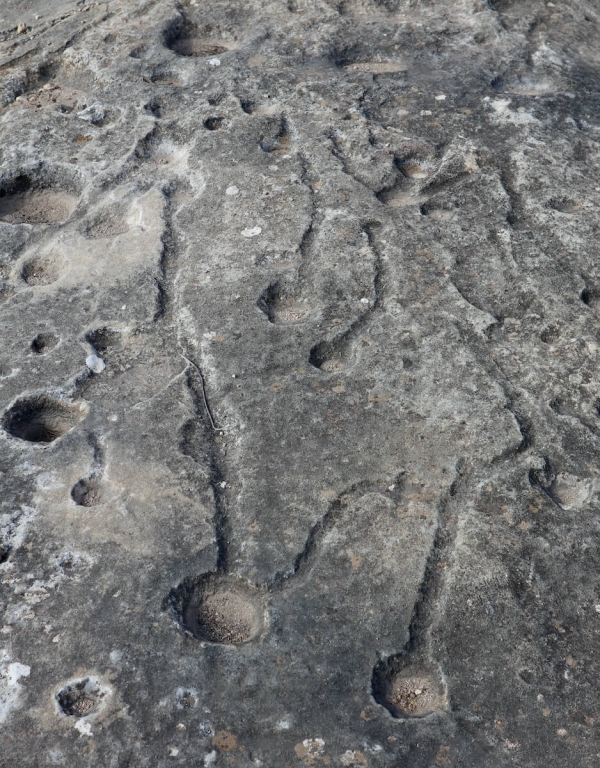 petroglifi, incisioni rupestri, monte arabì, spagna sconosciuta, murcia