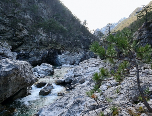 Nel bosco della Val Tramontina, tra smeraldi e vecchi borghi