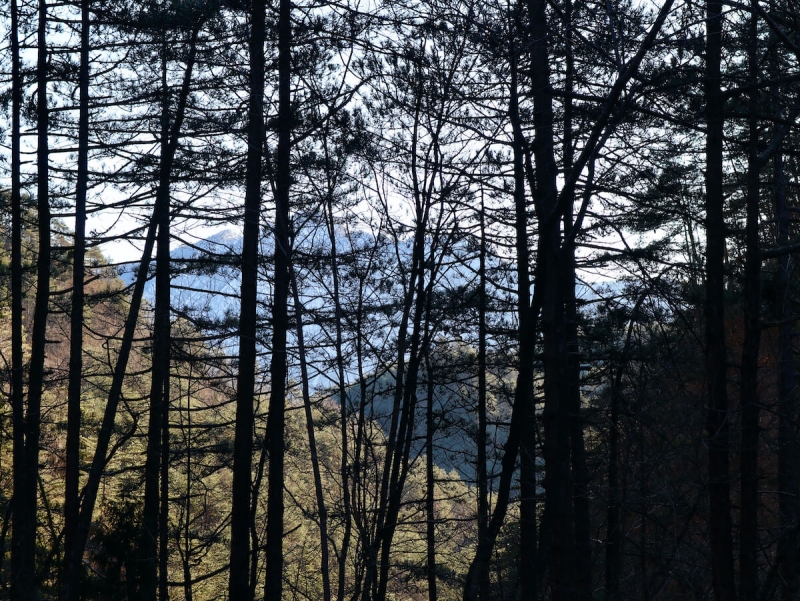  val tramontina, tramonti di sopra, verso frassaneit