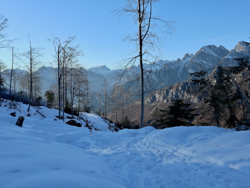  Claut, escursioni inverno Friuli, ciaspolare Friuli