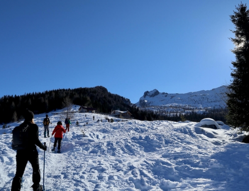 Una ciaspolata in Friuli, la magia delle neve tra le Dolomiti Friulane