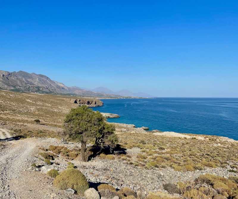  Britomarti, Sfakia, spiagge selvagge Creta