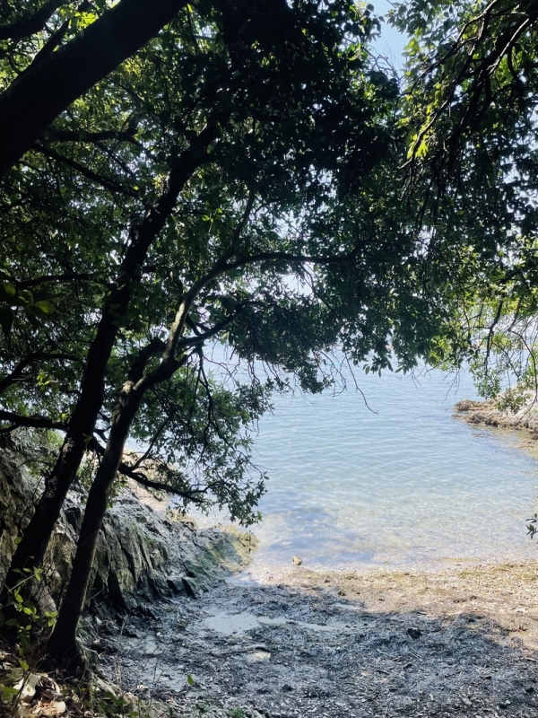  duino, costiera triestina