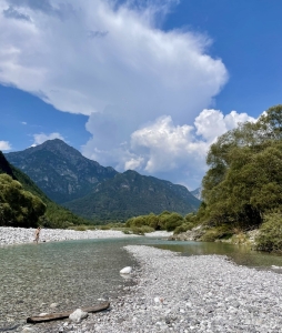 Bosco Bandito, Tramonti di Sotto, Friuli