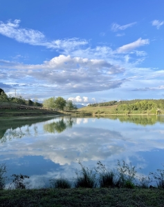 riserva naturale regionale Tenuta Bellavista Insuese, Guasticce, Livorno, Samichay